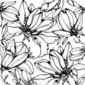 Doodle floral magnolia background in vector with doodles black and white coloring page Royalty Free Stock Photo