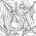 Doodle floral tropical background in vector with doodles black and white coloring page. Paradise flowers, banana leaves Royalty Free Stock Photo