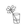 Doodle flower in glass,hand drawn sketch with chamomile, daisy .Romantic decoration,gift to holiday.Simple floral drawing, still