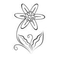 Doodle flower plant. Lineart floral graphic vector element.