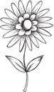 Doodle Flower Vector