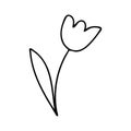 Doodle flowers contour line drawing.Black and white image.Simple flower isolated on a white background.Vector Royalty Free Stock Photo