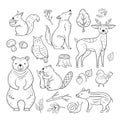 Doodle forest animals. Woodland cute baby animal squirrel wolf owl bear deer snail childrens sketch vector hand drawn