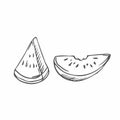 Doodle fresh Watermelon with two type of slice. Isolated on white Royalty Free Stock Photo