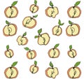 Doodle fruits. Natural red apple fruit, doodles and vitamin apple. Vegan foods hand drawn, organic fruits or vegetarian food. Vec