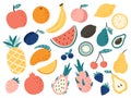 Doodle fruits. Natural tropical fruit, doodles citrus orange and vitamin lemon. Vegan kitchen apple hand drawn vector