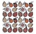 Doodle fruits. Natural tropical fruit, doodles citrus and vitamin. Vegan foods hand drawn, organic fruits or vegetarian food. Vect Royalty Free Stock Photo