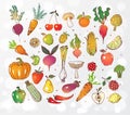 Doodle fruits and vegetables on white glowing background. Vector sketch illustration of healthy food.