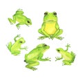 Doodle green frogs collection. Watercolor.