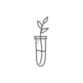 Doodle growing plant in test tube.