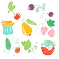 Doodle hand drawn collection of fruits and berries and jams. Colorful food collection of organic produce for retail, farm, market