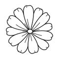 Doodle hand drawn daisy flower isolated on white background. Sketch chamomile top view. Line art vector illustration Royalty Free Stock Photo