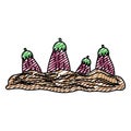 Doodle healthy eggplant fresh vegetable cultivated