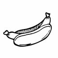 Doodle Hotdog sketch in vector. Fast Food Icon