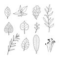 Doodle icon of the leaves of different trees.