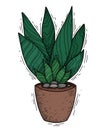 Doodle illustration of aloe succulent in a clay pot with shading. Home plant sketch for home decoration. Hand drawn cartoon cactus