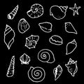 A set of vector shells in the doodle style. hand-drawn seashells, starfish white outline sketch isolated elements on black Royalty Free Stock Photo