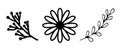 Doodle illustration of flower. Spring season. Simple doodle illustration for print, greeting card, stickers, wedding