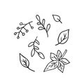 Doodle leaves set, hand drawn quickly painted autumn symbols. Sketch,freehand minimalistic design, child drawing.Isolated.Vector Royalty Free Stock Photo