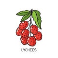 Lychees-03