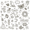 Doodle nature vector set of outlined animals, birds and insects.Charming hedgehog, bee, stork, pumpkin, butterfly, snail