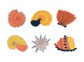 Doodle Ornamental Seashell with Hard Marine Shell Vector Set