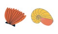 Doodle Ornamental Seashell with Hard Marine Shell Vector Set