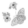 Doodle outline butterfly in vintage flat style