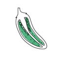 Doodle outline green half jalapeno chili pepper with spot. Vector hand-drawn illustration for packing isolated on