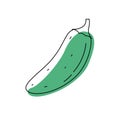 Doodle outline green jalapeno chili pepper with spot. Vector hand-drawn illustration for packing isolated on transparent