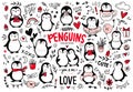 Doodle penguins, hand drawn set of funny animals. Vector Penguin character in sketch style.