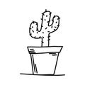 Doodle picture of cactus. Hand drawn vector illustration