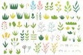 Doodle plants bundle in cartoon style. Grass, sprouts and leaves big collection Royalty Free Stock Photo