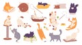 Doodle playing cats. Funny kitten characters, cute cat play with ball or box, kawaii lazy home pet adorable kitty sleep