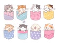 Doodle pocket cats. Kitten in pockets, happy cartoon cute cat. Fashion baby pet, adorable kittens faces. Childish mascot