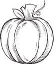 Doodle Pumpkin Vector