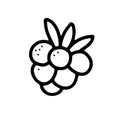 Doodle ripe raspberry. Outline berry with leaves