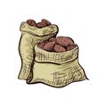 Doodle sack of potatoes Royalty Free Stock Photo