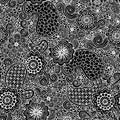 Doodle seamless background in vector with doodles, flowers and paisley. Black and white. Royalty Free Stock Photo