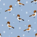 Doodle seamless pattern with hoopoe birds and snowflakes. Perfect for T-shirt, textile and print. Hand drawn vector illustration Royalty Free Stock Photo