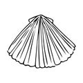 Doodle seashell, hand-drawn sea symbol. Fossil conch painted by ink, pen. Line, minimalism. Simple sketchy icon. Isolated. Vector