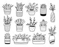 Doodle set of cute houseplants in flower pots