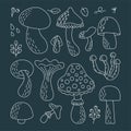 Doodle set of different types of mushrooms