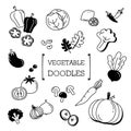 Doodle set of Vegetables.