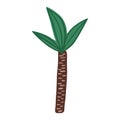 Doodle single palm tree. Hand drawn Exotic rainforest tree isolated on white background Royalty Free Stock Photo