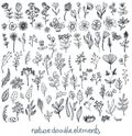 Doodle Sketch nature collection of elements