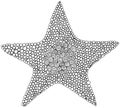 Doodle star coloring page for adults and kids. Circle ornament.