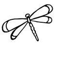 Doodle style cute dragonfly