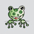 Doodle stylized frog