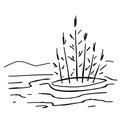 Doodle swamp. Sketch of natural pond or lake with reeds and sedge.